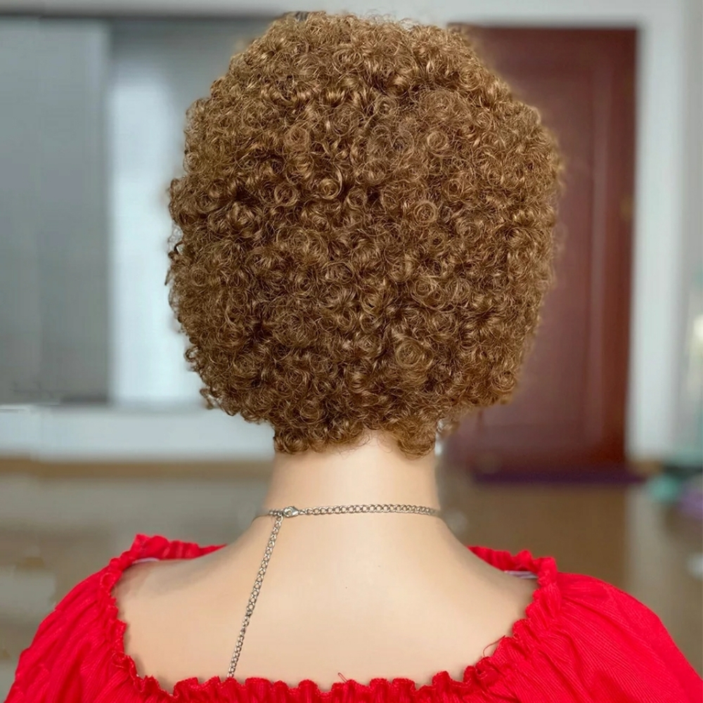 Short Curly human hair wig